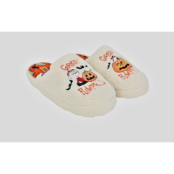 NWT PEANUTS UNISEX CHARACTER SLIPPERS - Picture 3 of 5